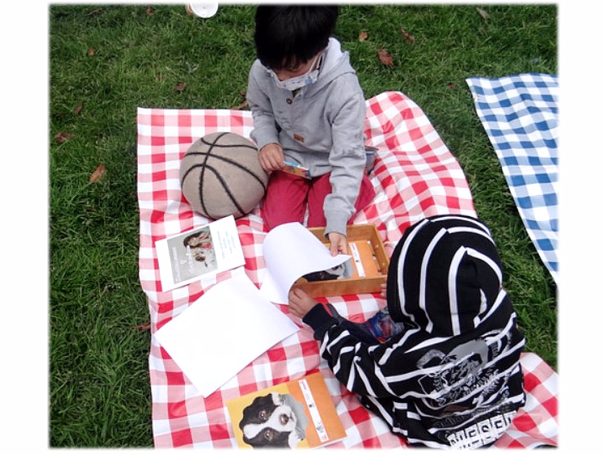 Picnic Literario "Otto Cuéntame tu Cuento nuevo”