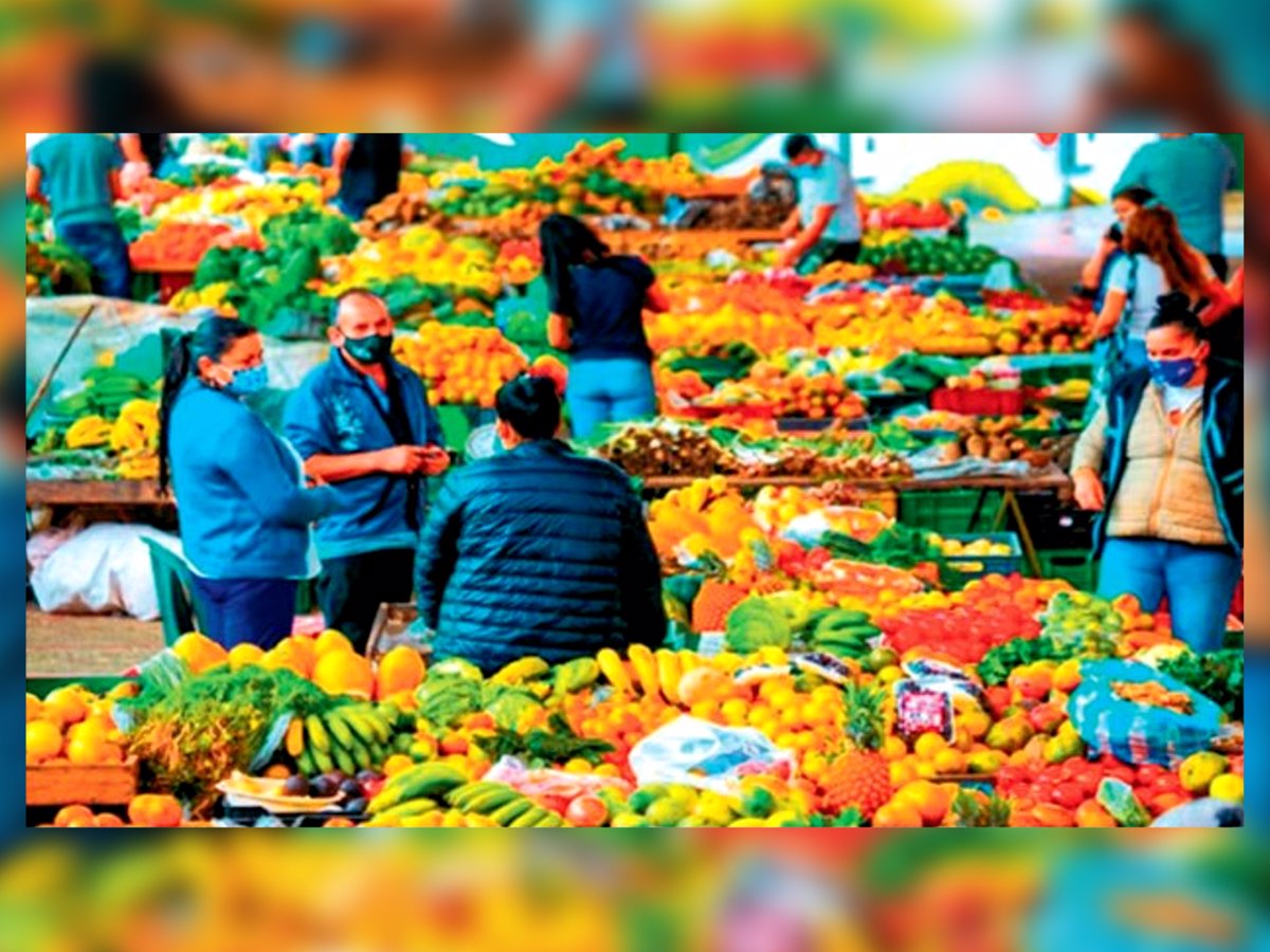 plataforma tecnológica para los productores campesinos