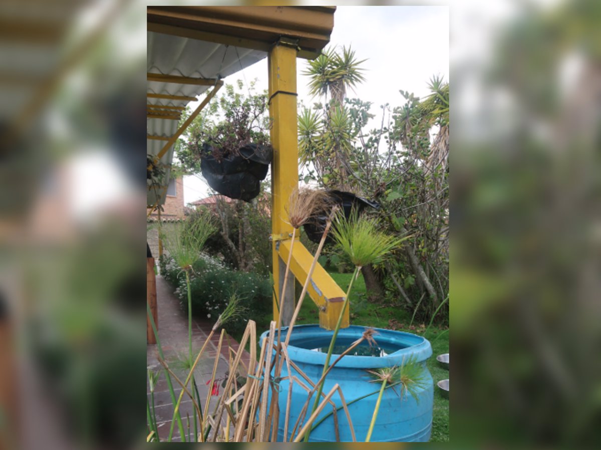 recoger agua lluvia