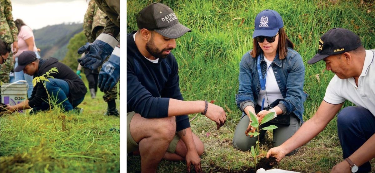 Los habitantes del municipio se unieron voluntariamente a la jornada de siembra de árboles en el propósito de hacer del municipio un territorio sostenible. Foto: Ofi cina de prensa Alcaldía Cajicá.
