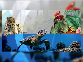 Al rescate de la diversidad