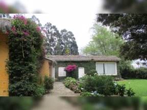 En la Hacienda Tucurinca, ubicada en la vereda de Chuntame, donde vivió varios años el maestro Fernando Botero, se tiene proyectado hacer un gran museo.