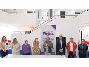 'Brigadas de Atención Violeta'. 'Brigadas de Atención Violeta'.