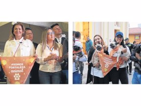 Campaña maltrato animal.