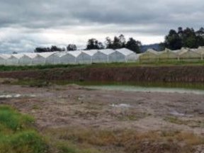 Contraloría revela hallazgo fiscal de más de 7.500 millones en El Rosal. Contraloría revela hallazgo fiscal de más de 7.500 millones en El Rosal.