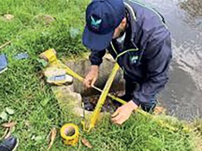 Suspenden actividades curtiembres.