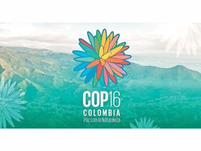 La CAR en la COP16.
