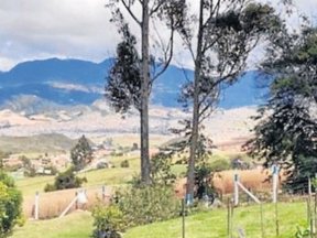 Calidad de aire. Calidad de aire.