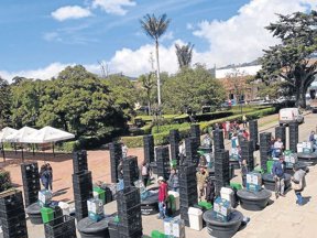 Subachoque, impulsa la productividad agrícola.