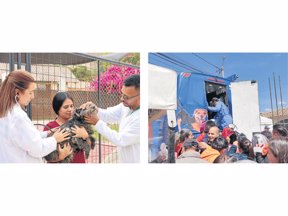 Las jornadas incluyen vacunación y desparasitación, con lo que se ayuda a las familias tenedoras de mascotas. Fotos: Ofi cina de prensa Alcaldía Cajicá.