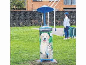 Canecas para desechos de mascotas: apuesta por el cuidado ambiental.