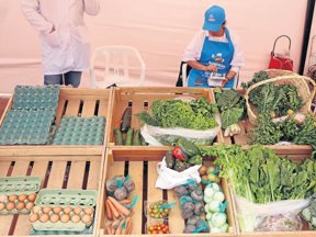 Secretaría del Agrocampesinado.